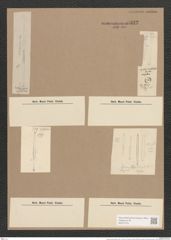 Synedra amphycephala Kuetz., (de-Toni-Nr.: Genus 66, Species 2605) Zeichnungen Sammlung Grunow Nr. 5322 (NHMW-BOT-W0373722)